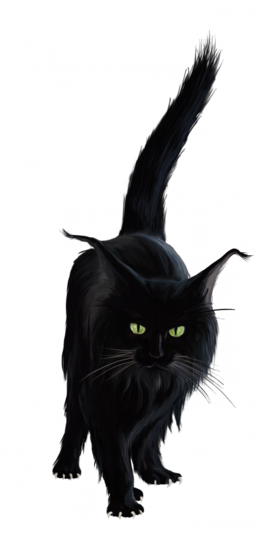 Colors - - Black Cat (260x542)