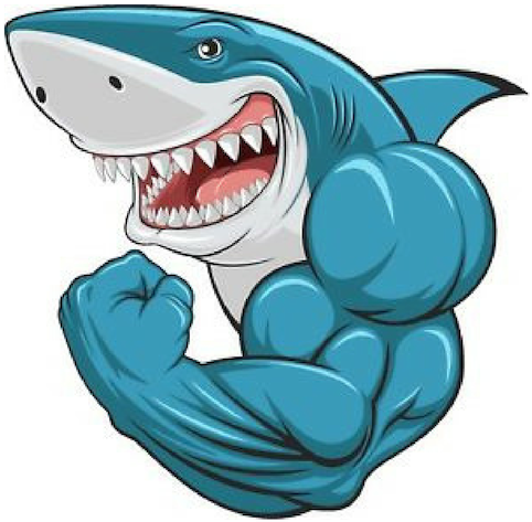 Cartoon Shark (512x512)