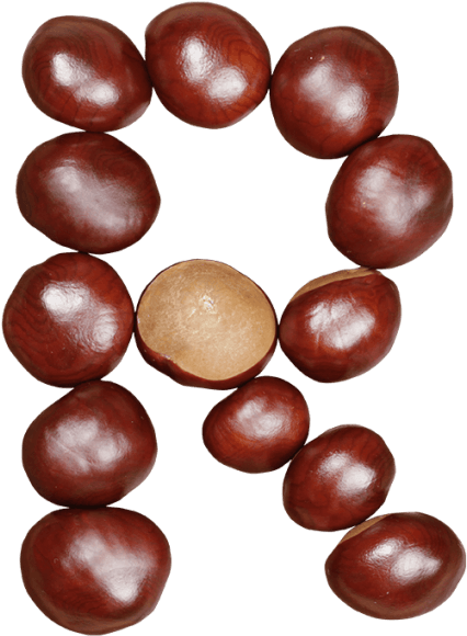 Chestnut Font - Buckeye (595x595)