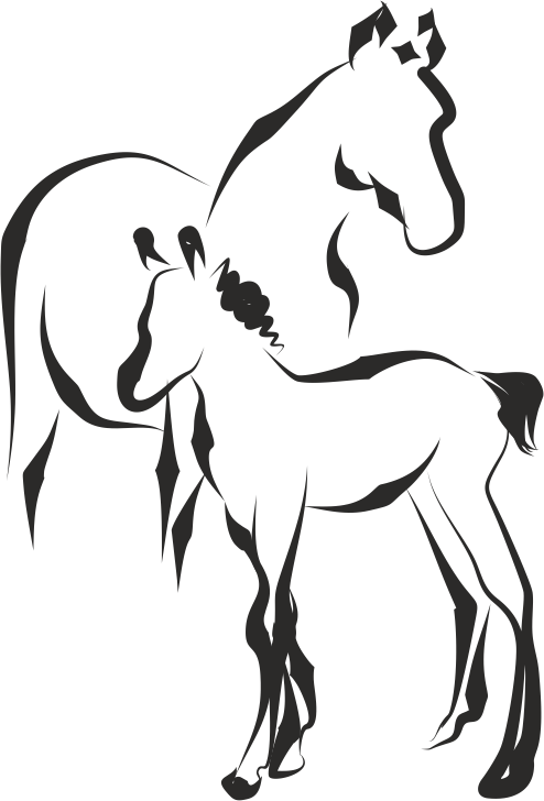 Logo No Text Final - Illustration (494x728)