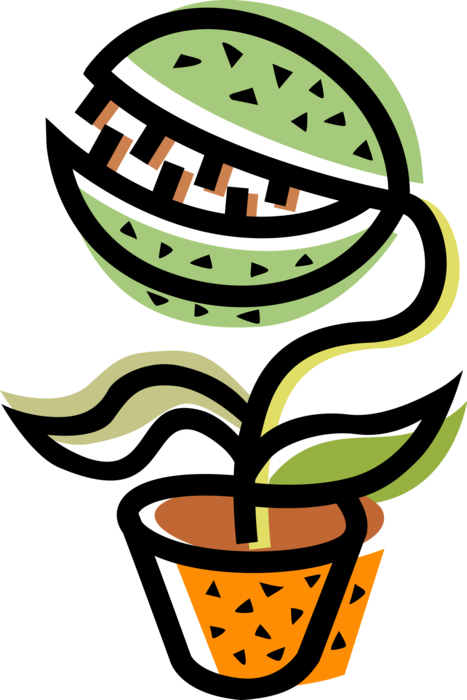 Fly Trap Plant Facts (467x700)