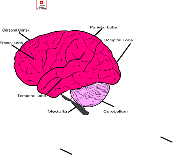 Diagram (600x539)