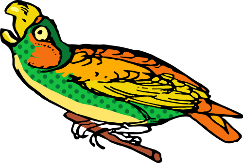 Dots,spots,spotty - Parrot (500x337)