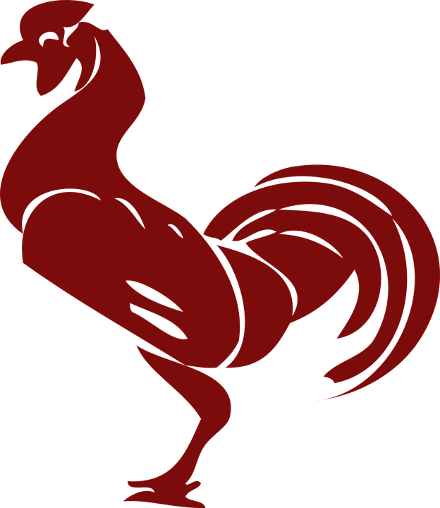 Rooster Clip Art (624x720)