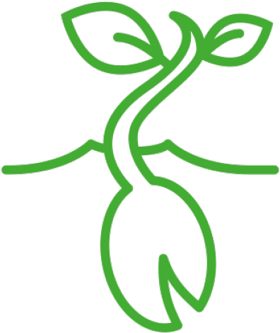 Higher Seed Performance - Higher Seed Performance (476x476)