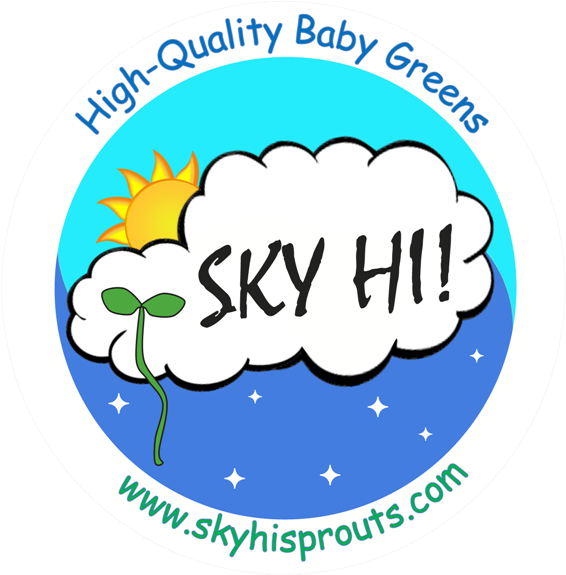 Sky Hi Logo - Day Care (600x600)