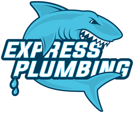 Express Plumbing Service - Carcharhiniformes (449x380)