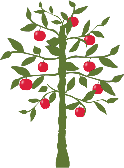 Apple - World's Fastest Indian Lemon Tree (500x688)