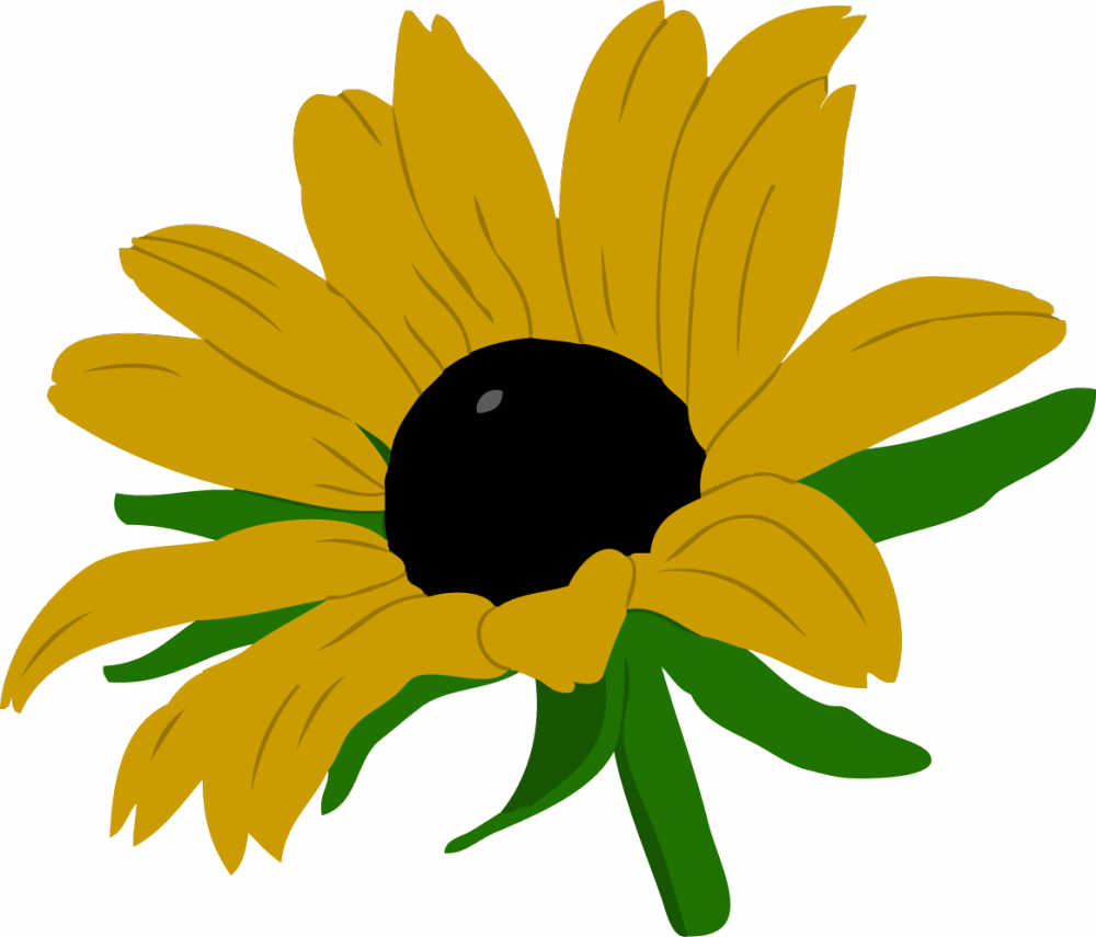 Black-eyed Susan (1000x855)