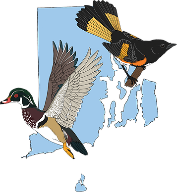 Logo Blue Edit2 - Mallard (357x388)