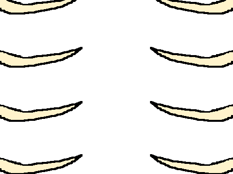 Ribs - Ribs (480x360)