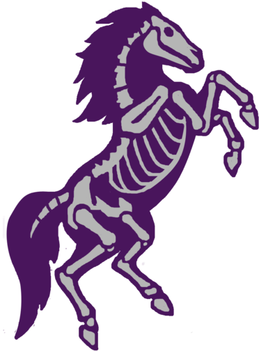 X Ray Horse Patch Design Wip By - Illustration (400x580)