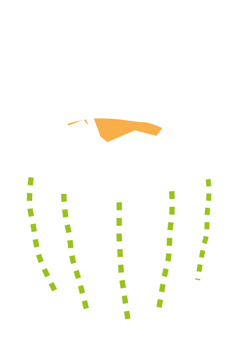 60ml Coconut Water - Illustration (775x807)