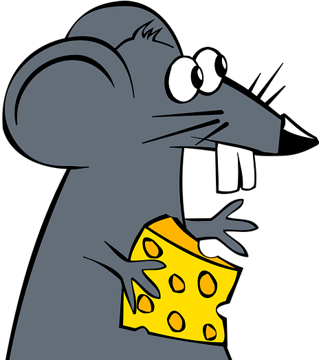 Program Evaluation And The Art Of Cheese Making - Program Evaluation And The Art Of Cheese Making (720x522)