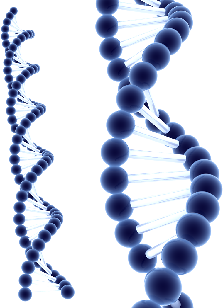 15 - Stem Cell Therapy Infographic (835x1050)