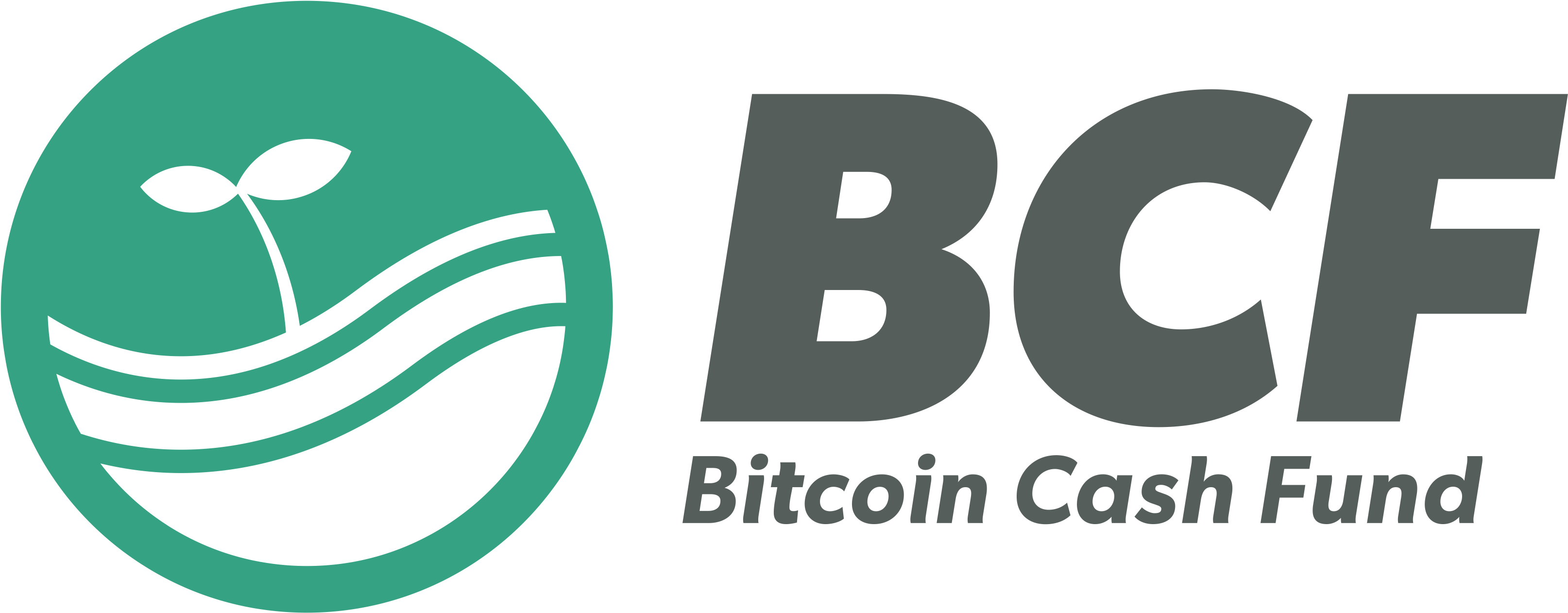 Bitcoin Cash Fund Logo (8842x1542)
