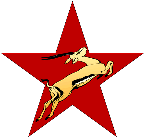 Image - Estrela Da Bandeira Do Senegal (510x485)
