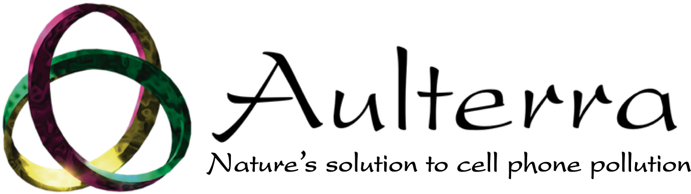 Electromagnetic Field, Fields - Anantara (1466x411)