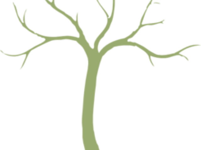 Dead Tree Clipart Base - Clip Art (640x480)