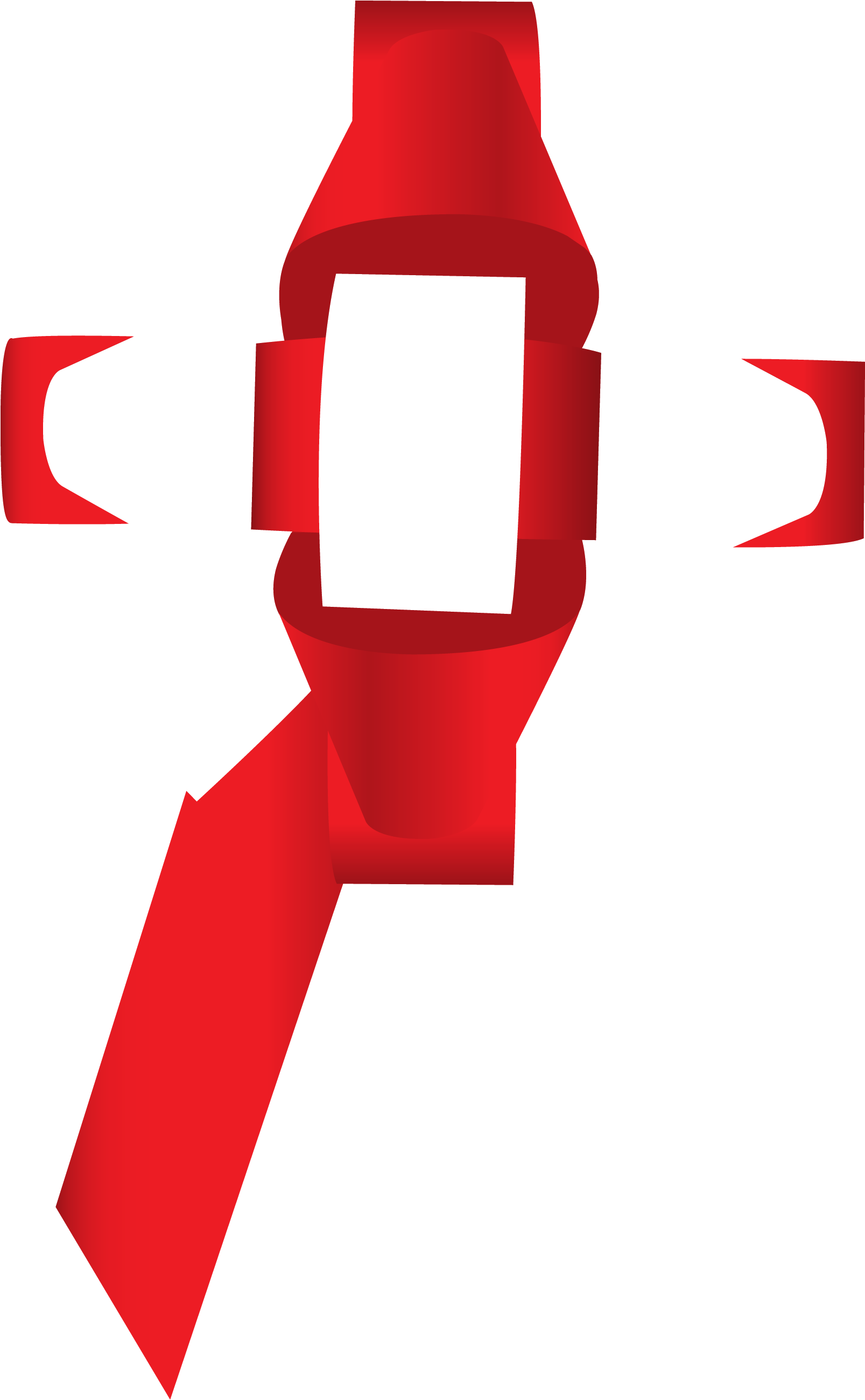 Bow On Car Png (1606x2642)