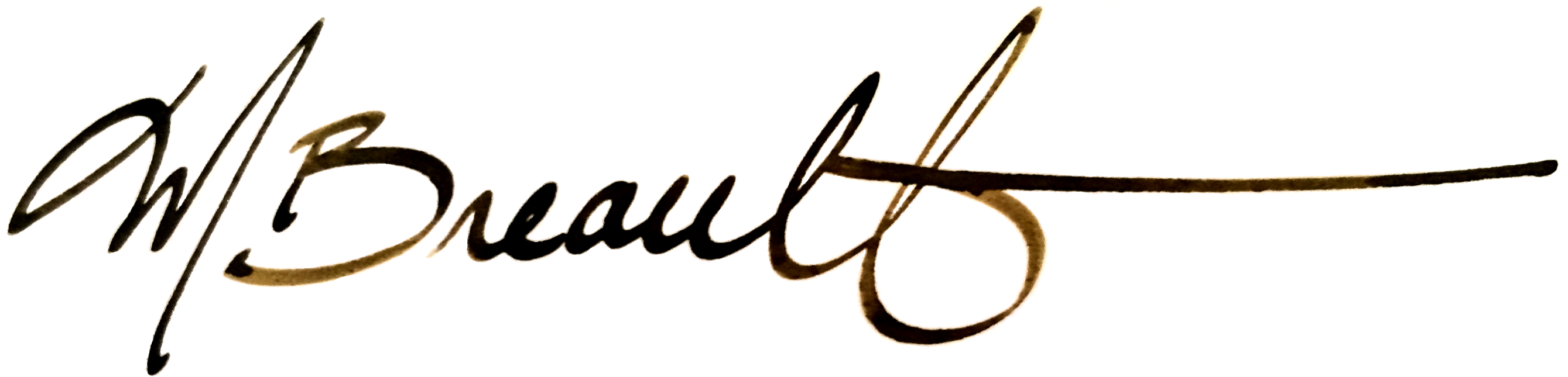 Calligraphy (2687x648)