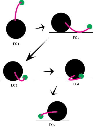A "neckline\ - Circle (320x436)