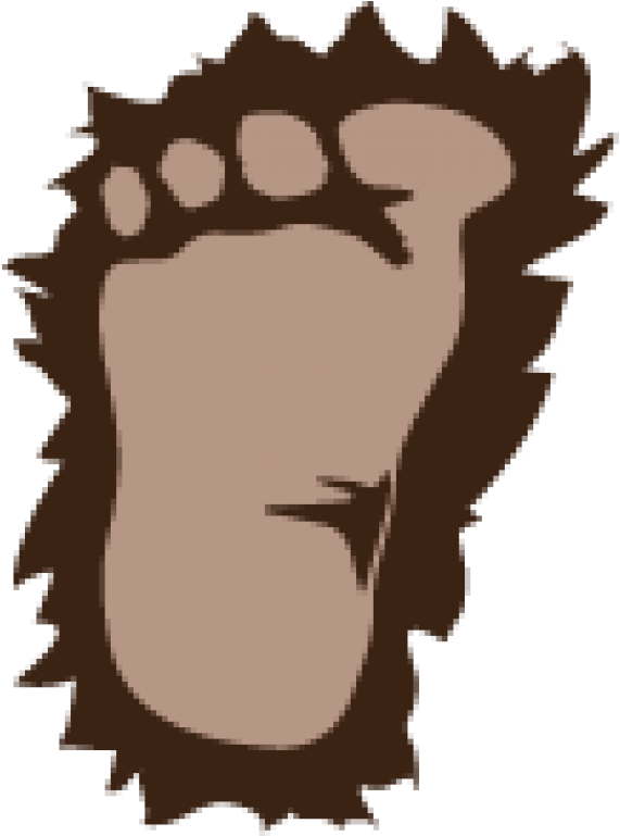 Bigfoot Country (768x768)