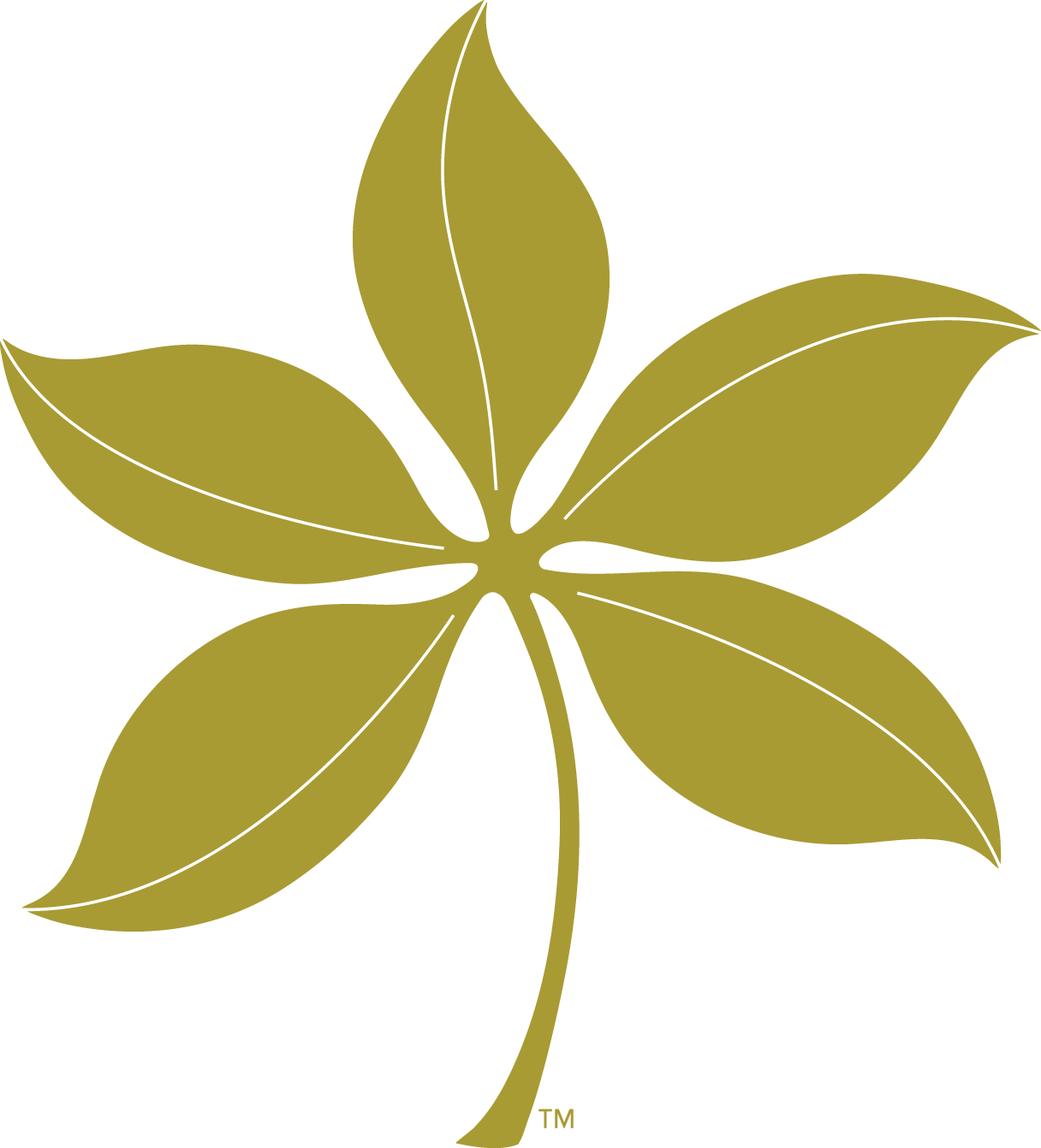 Summer - Osu Buckeye Leaf Logo Transparent Background (1216x1342)