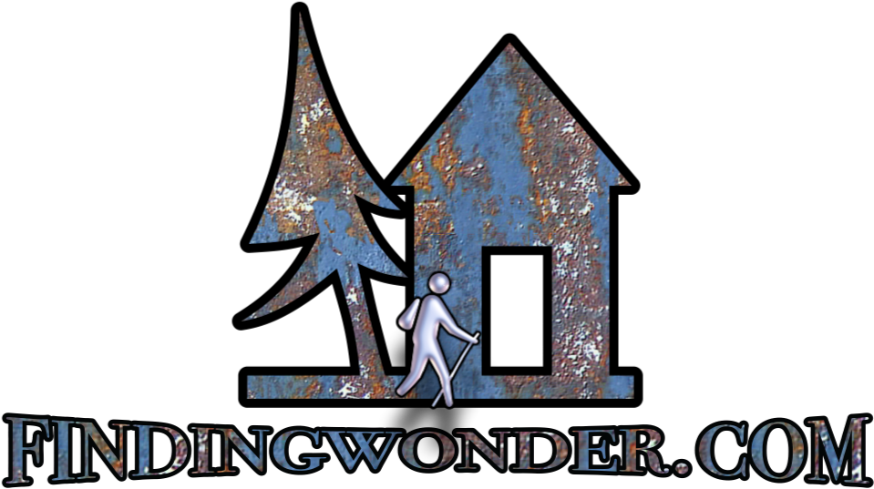 Finding Wonder - Graphic Design (1100x551)