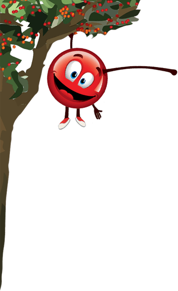 Holiday - Cherry Man (360x589)