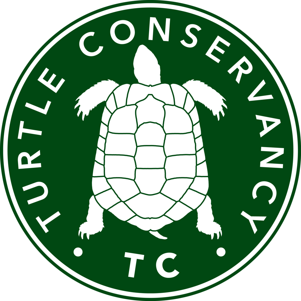 Turtle Conservancy - Turtle Conservancy (1000x1000)