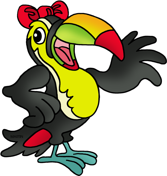 Toucan - Turkey (620x648)