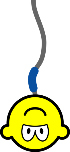 Bungee Jumping Buddy Icon - Smiley Bungee Jumping (244x526)