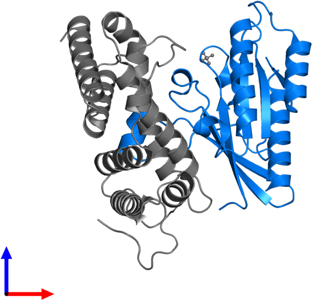 <div Class='caption-body'>pdb Entry 3jza Contains 1 - Cartoon (800x800)