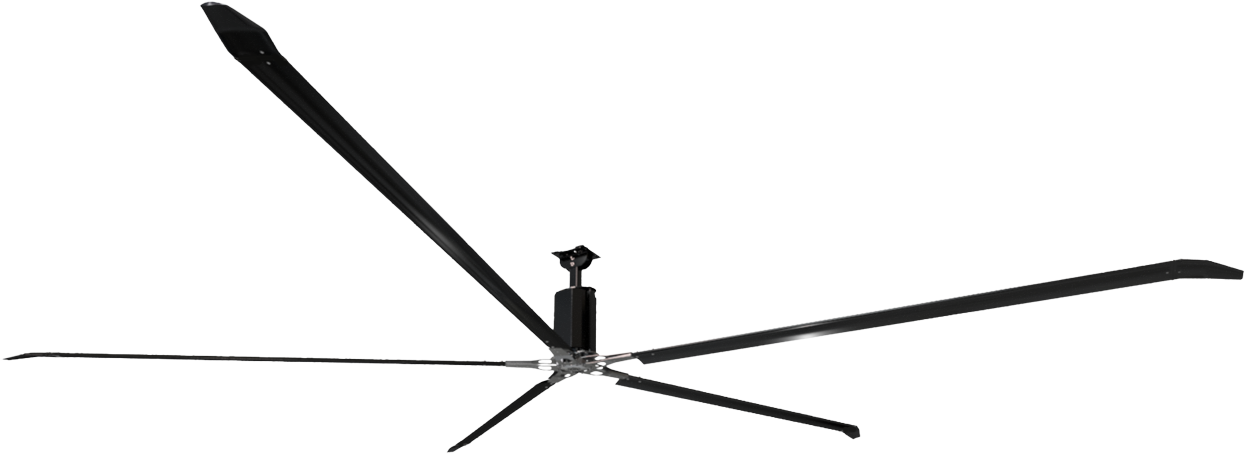 Experience - Monochrome (1245x454)
