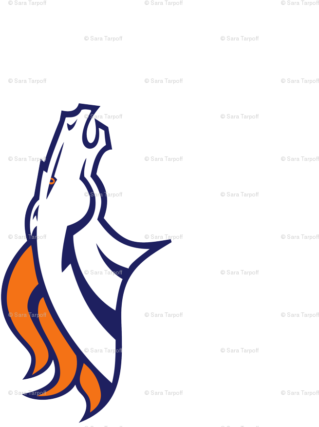 Denver Broncos (699x905)