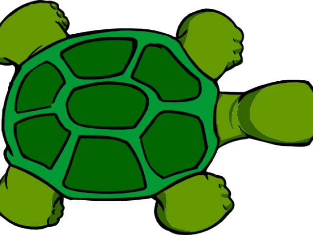 Tortoise Clipart Top View - Cartoon Turtle Shell (640x480)