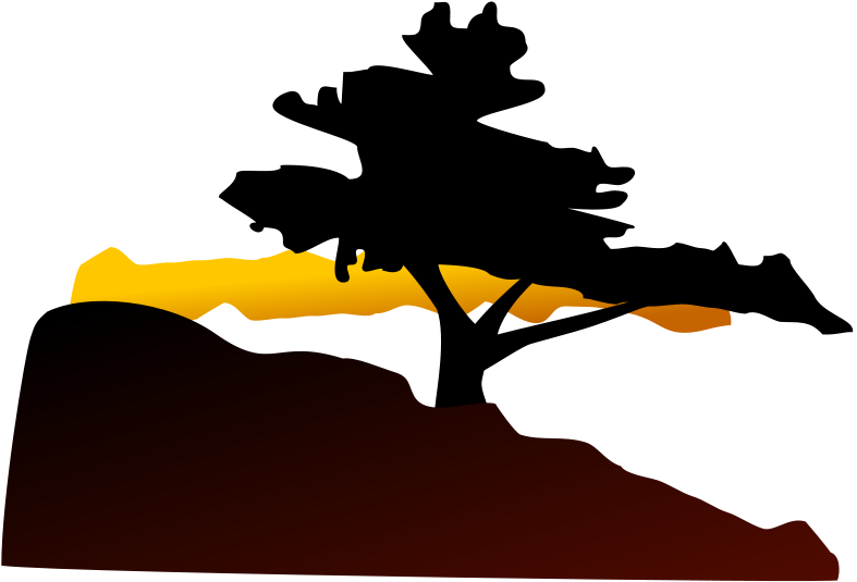 Bonsai Tree Clip Art (800x800)