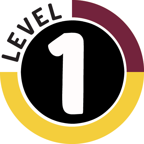 Copy - Level 3 (500x500)