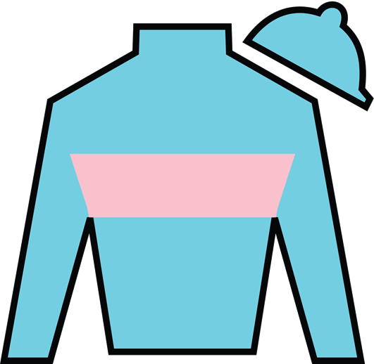 Owner Link - Racing Silks (531x518)