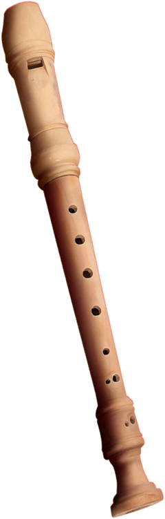 Recorder Transparent Background - Flute (800x800)