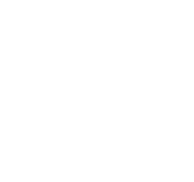 Den Airport Logo (400x374)