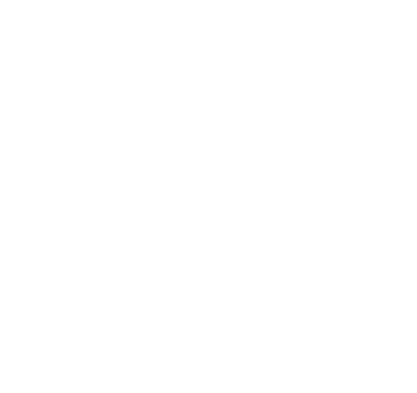 Document (593x558)