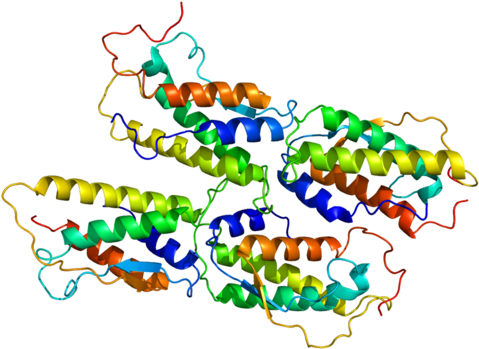 Stem Cell Factor - Stem Cell Factor (500x370)