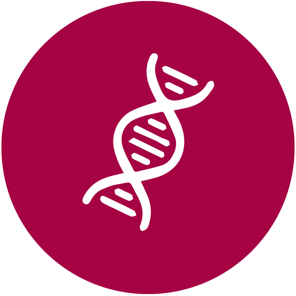 What Are Stem Cells - Stem Cell Icon (600x600)