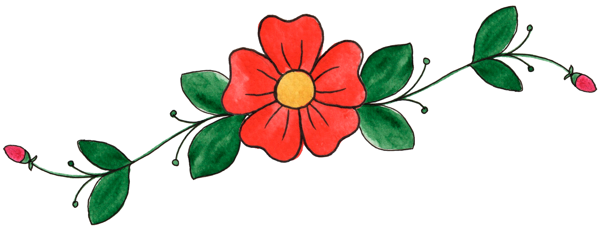 Japanese Camellia (2489x1095)
