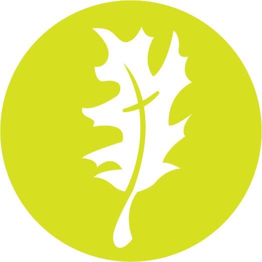 Circle (523x523)