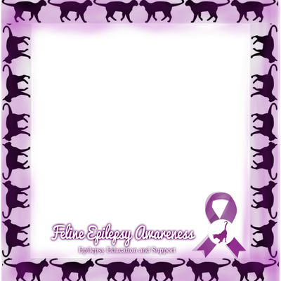 Epilepsy Awareness - Picture Frame (400x400)