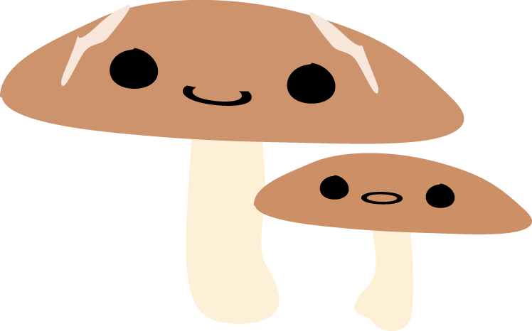 Black Morel - Shiitake (748x466)