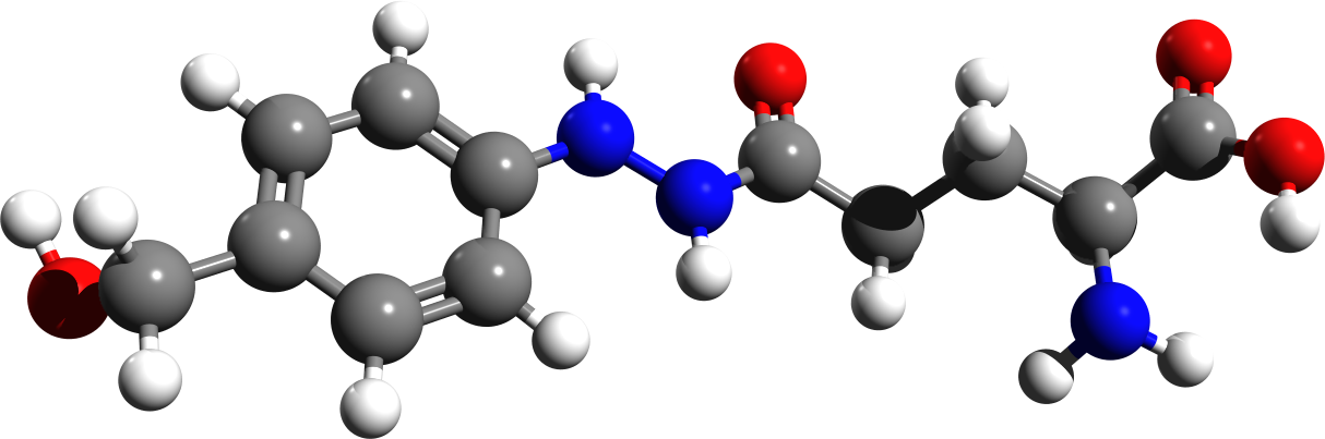 Agaritine - Structure (1214x403)